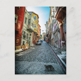 Katt på gatan i Istanbul Vykort