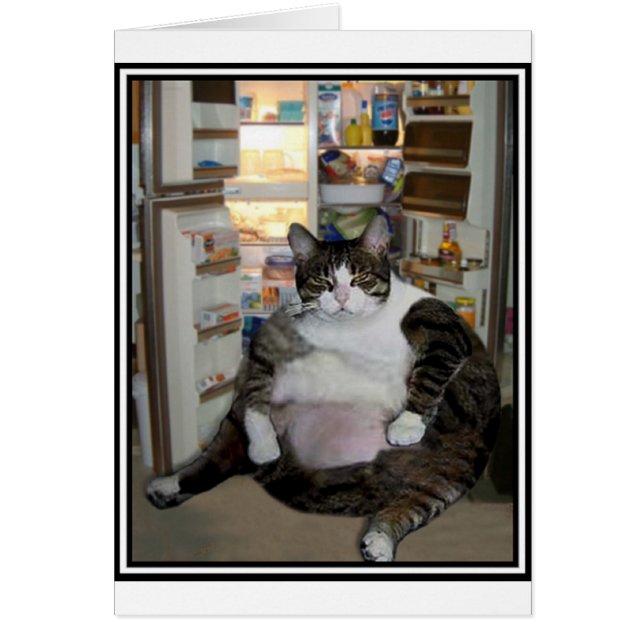 KATT PÅ KYLEN HÄLSNINGSKORT (Framsidan)