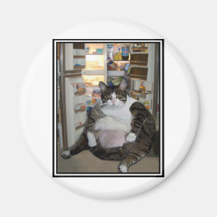KATT PÅ KYLEN MAGNET