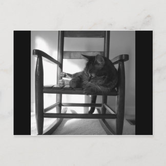 Katt på rocker vykort