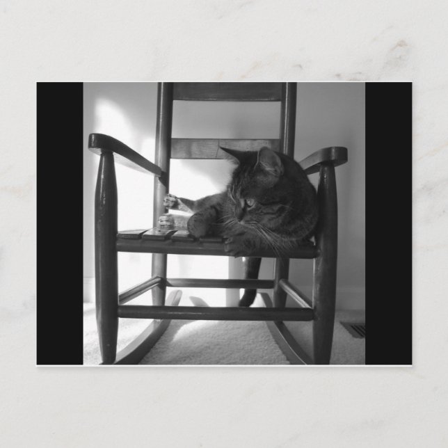 Katt på rocker vykort (Framsida)