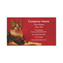 Katt på röd bakgrund