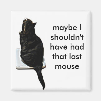 Katt på skalor magnet