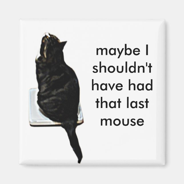 Katt på skalor magnet (Framsidan)