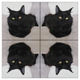 Katt på soffan tyg
