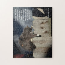 Katt på stängsel nr 9 (anpassa citat)