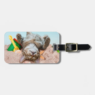 Katt på strand och blå himmel bagagebricka