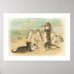 "Katt på Vintagen "Beach" Poster