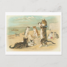 "Katt på Vintagen "Beach" Vykort