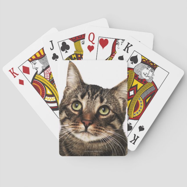 Katt på vit bakgrund 2 casinokort (Baksidan)