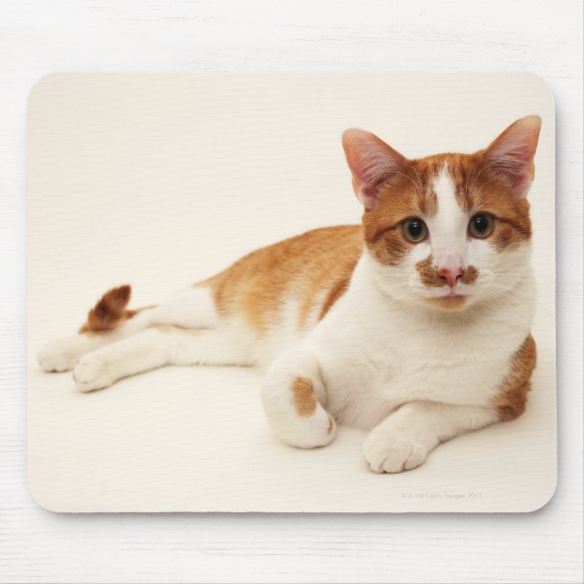 Katt på vit bakgrund musmatta (Framsidan)