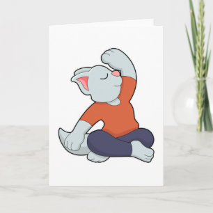 Katt på yoga i korslagda ben kort