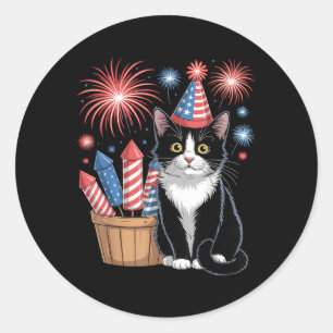 Katt Patriotisk Amerika Katter Usa Flagga Fyrverke Runt Klistermärke