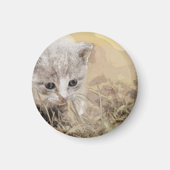 Katt, Pet, Cute Magnet (Framsidan)