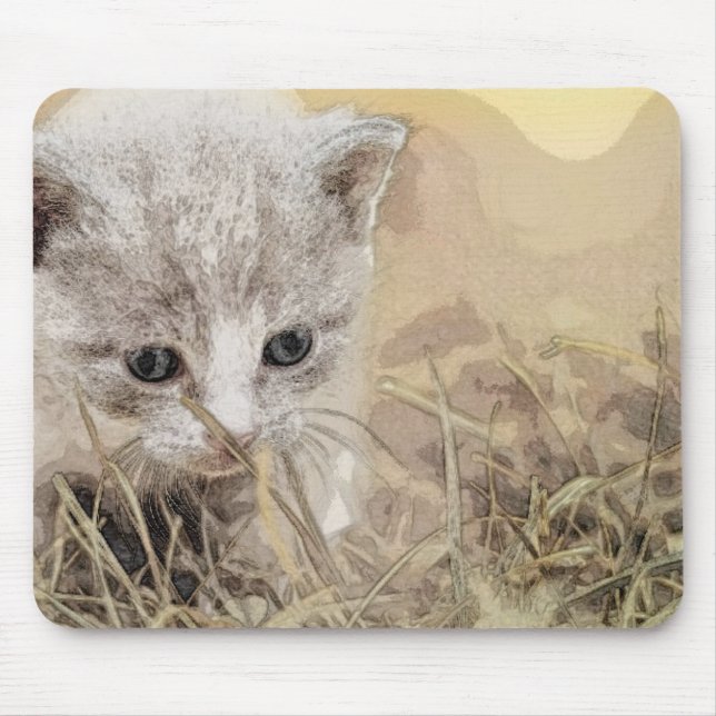 Katt, Pet, Cute Musmatta (Framsidan)