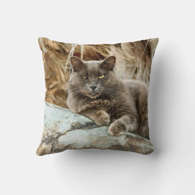 Katt Pillow Fodral Kudde (Baksida)