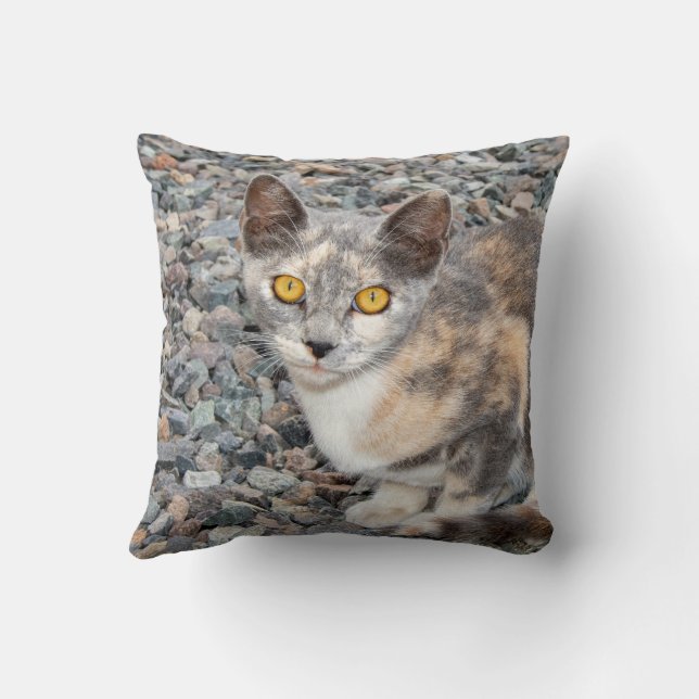 Katt Pillow Fodral Kudde (Baksida)