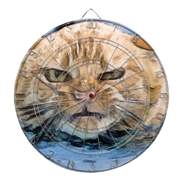 Katt Piltavla (Framsidan)