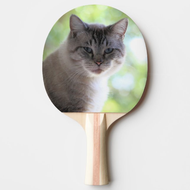 Katt Pingisracket (Framsidan)