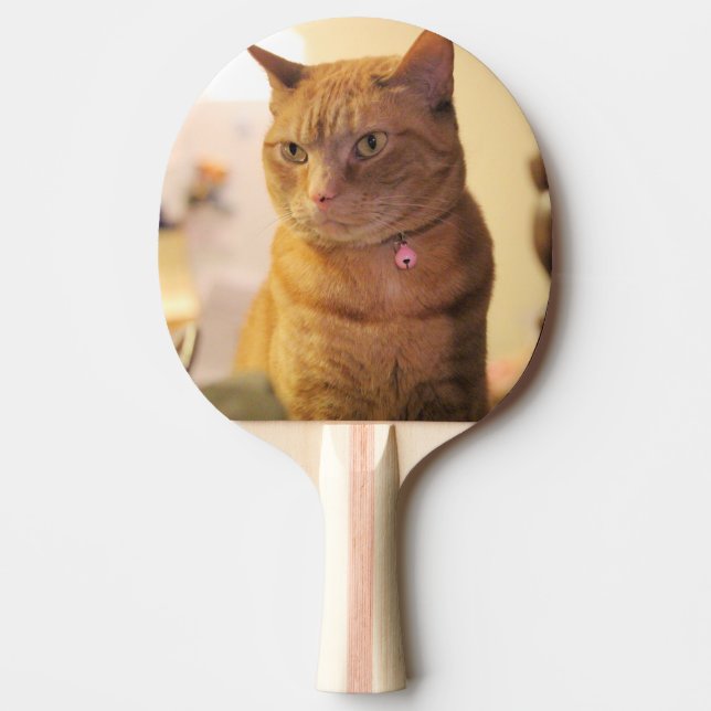 Katt Pingisracket (Framsidan)
