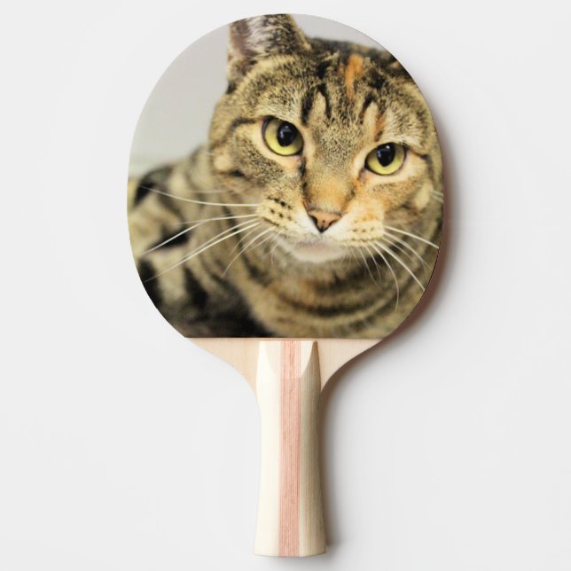 Katt Pingisracket (Framsidan)