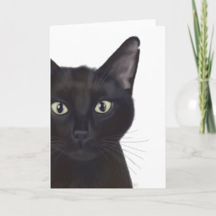 Katt, Porträtt av Gus Kort