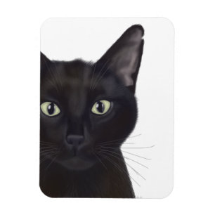 Katt, Porträtt av Gus Magnet