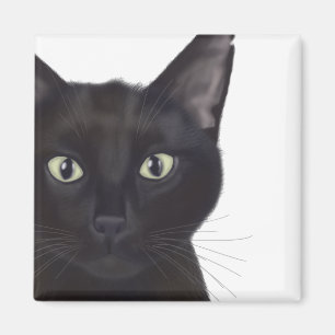 Katt, Porträtt av Gus Magnet