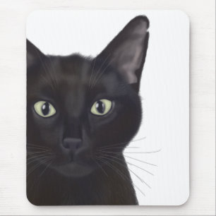 Katt, Porträtt av Gus Musmatta