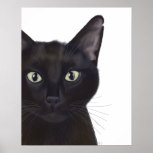 Katt, Porträtt i Gus Poster
