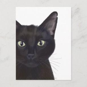 Katt, Porträtt i Gus Vykort