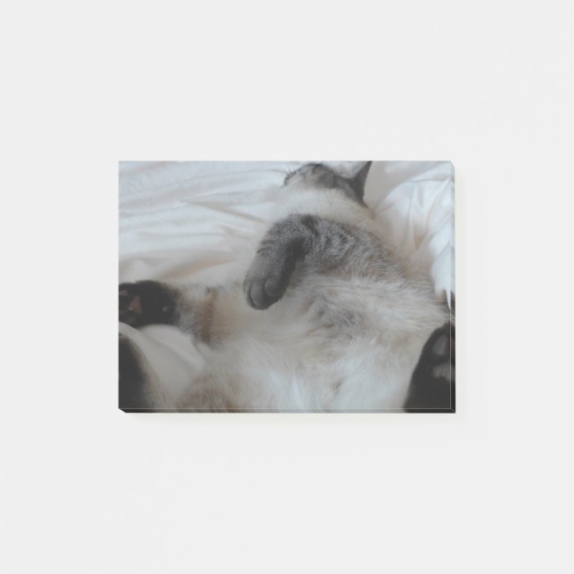 Katt Post-it Block (Framsida)