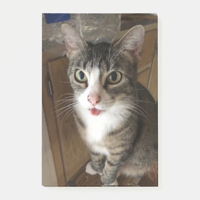 Katt Post-it Block (Framsida)
