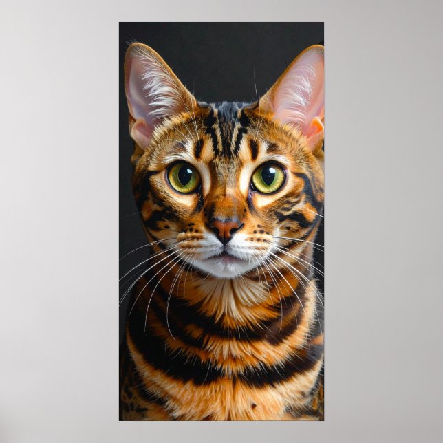 katt poster (Framsidan)