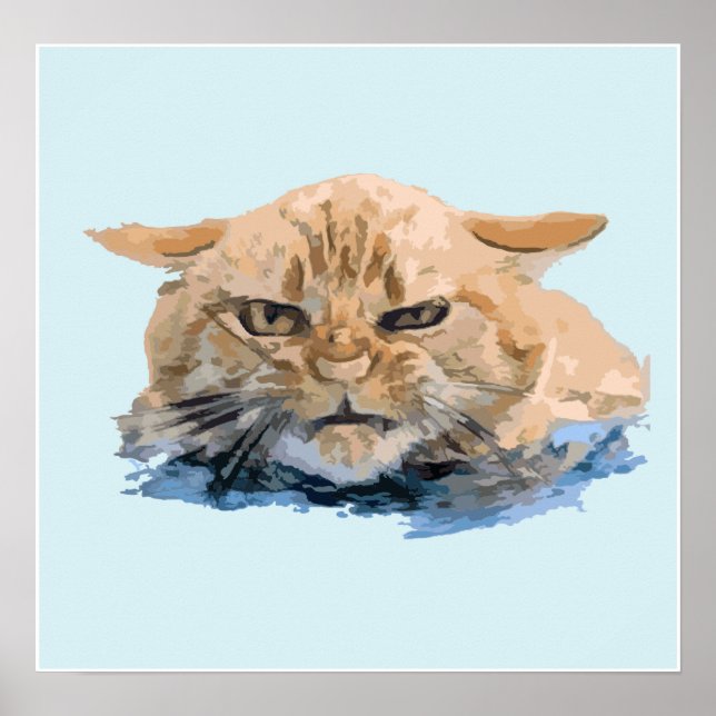 katt poster (Framsidan)