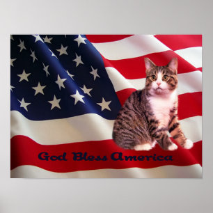 Katt Poster alla amerikanska