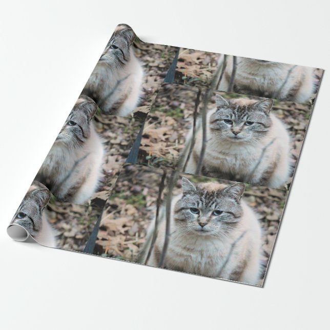 Katt Presentpapper (Utrullad)
