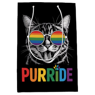 Katt Pride HBTQ Regenbåge Allierad Stolthet