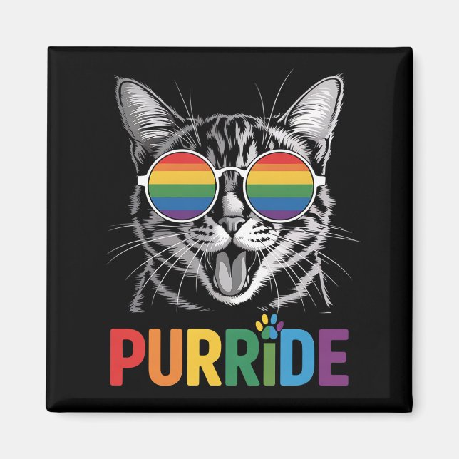 Katt Pride HBTQ Regenbåge Allierad Stolthet Magnet (Framsidan)