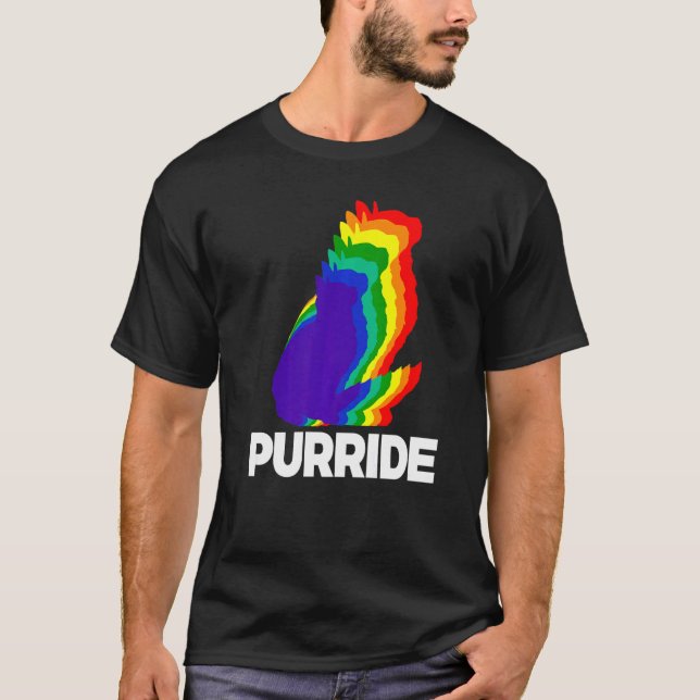 Katt Pride Purride Katt Regnbåge Färg  Katt  Kattu T Shirt (Framsida)