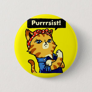 Katt purrsistens, kattutplåning knapp