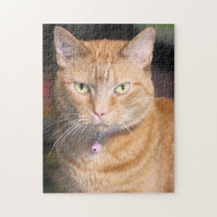 Katt Pussel