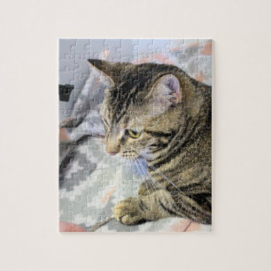 Katt Pussel