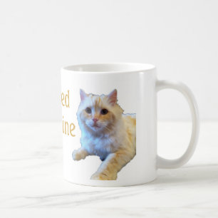 Katt Ragdoll Katt Kaffemugg