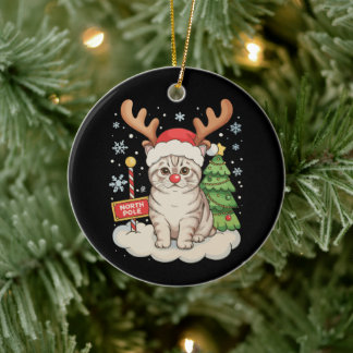 Katt Renhorn Julgran Xmas Jul Julgransprydnad Keramik