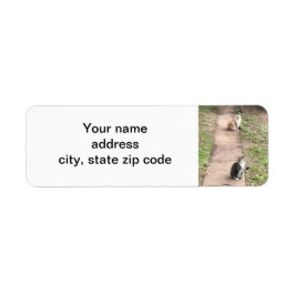 Katt Returadress Etikett
