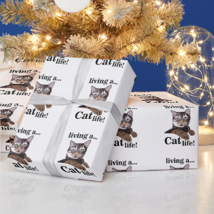 Katt Rolig Djurfantast Presentpapper