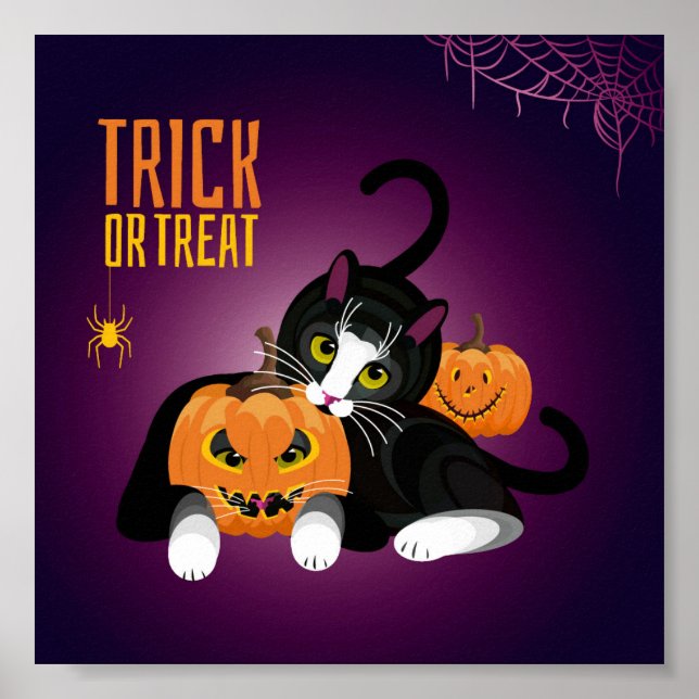 Katt roligt på Halloween leker med pumpor Pos Poster (Framsidan)