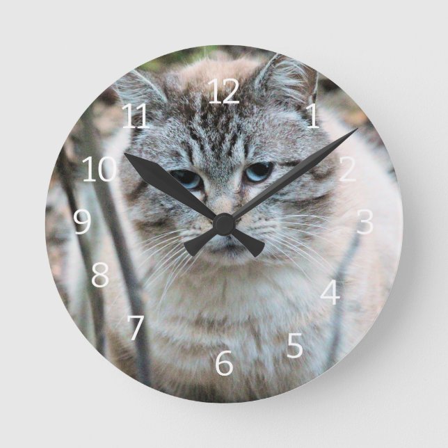 Katt Rund Klocka (Framsida)