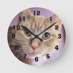 Katt Rund Klocka